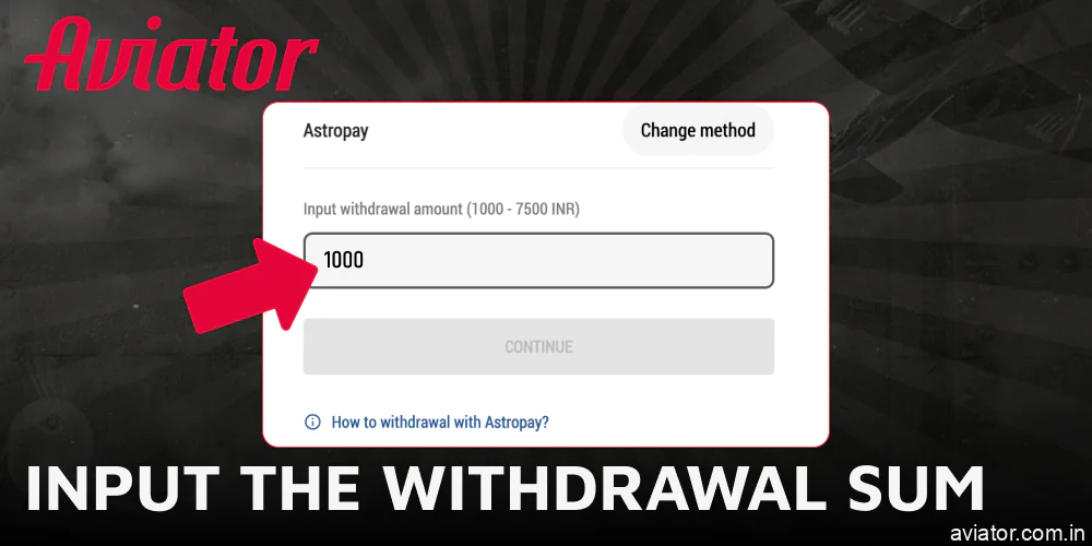 Input the Aviator withdrawal sum